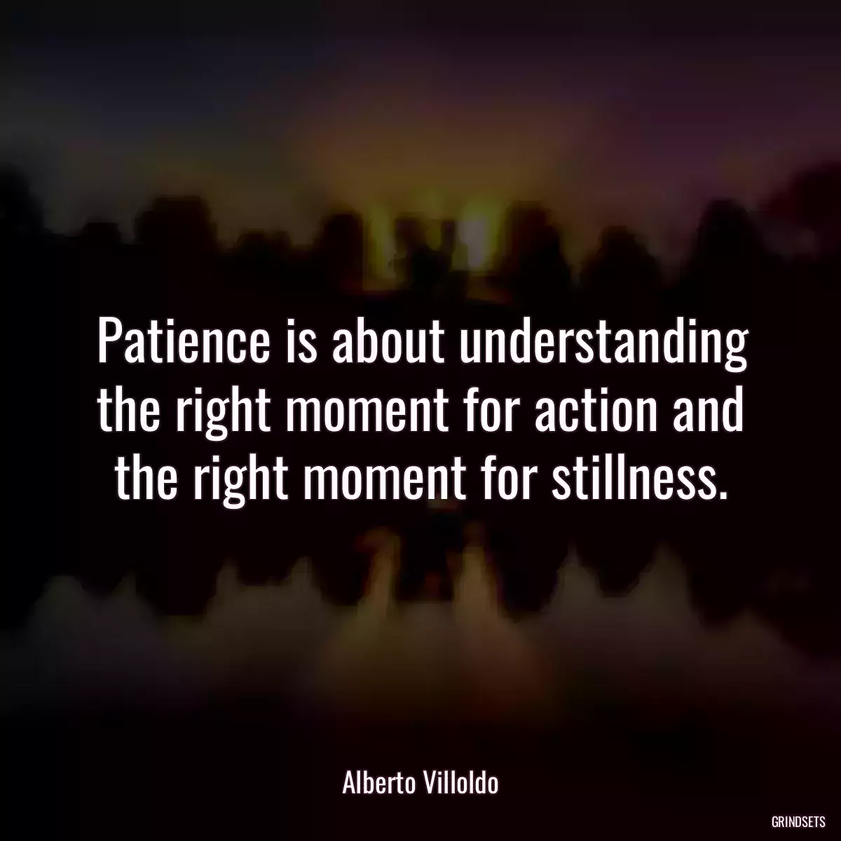 Patience is about understanding the right moment for action and the right moment for stillness.