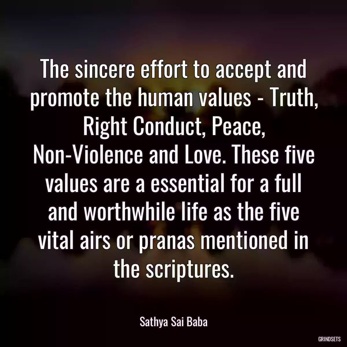 The sincere effort to accept and promote the human values - Truth, Right Conduct, Peace, Non-Violence and Love. These five values are a essential for a full and worthwhile life as the five vital airs or pranas mentioned in the scriptures.