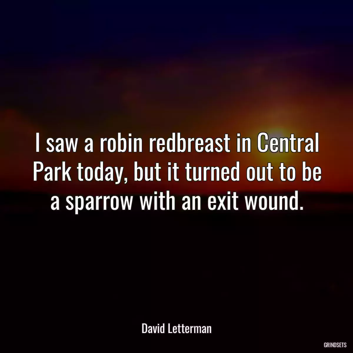 I saw a robin redbreast in Central Park today, but it turned out to be a sparrow with an exit wound.