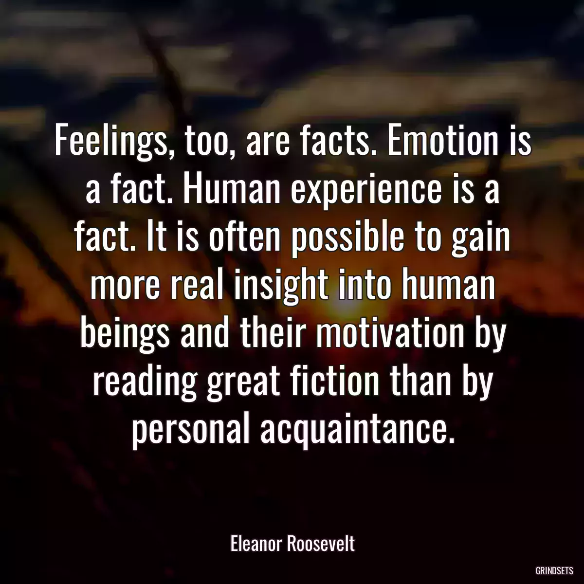 Feelings, too, are facts. Emotion is a fact. Human experience is a fact. It is often possible to gain more real insight into human beings and their motivation by reading great fiction than by personal acquaintance.