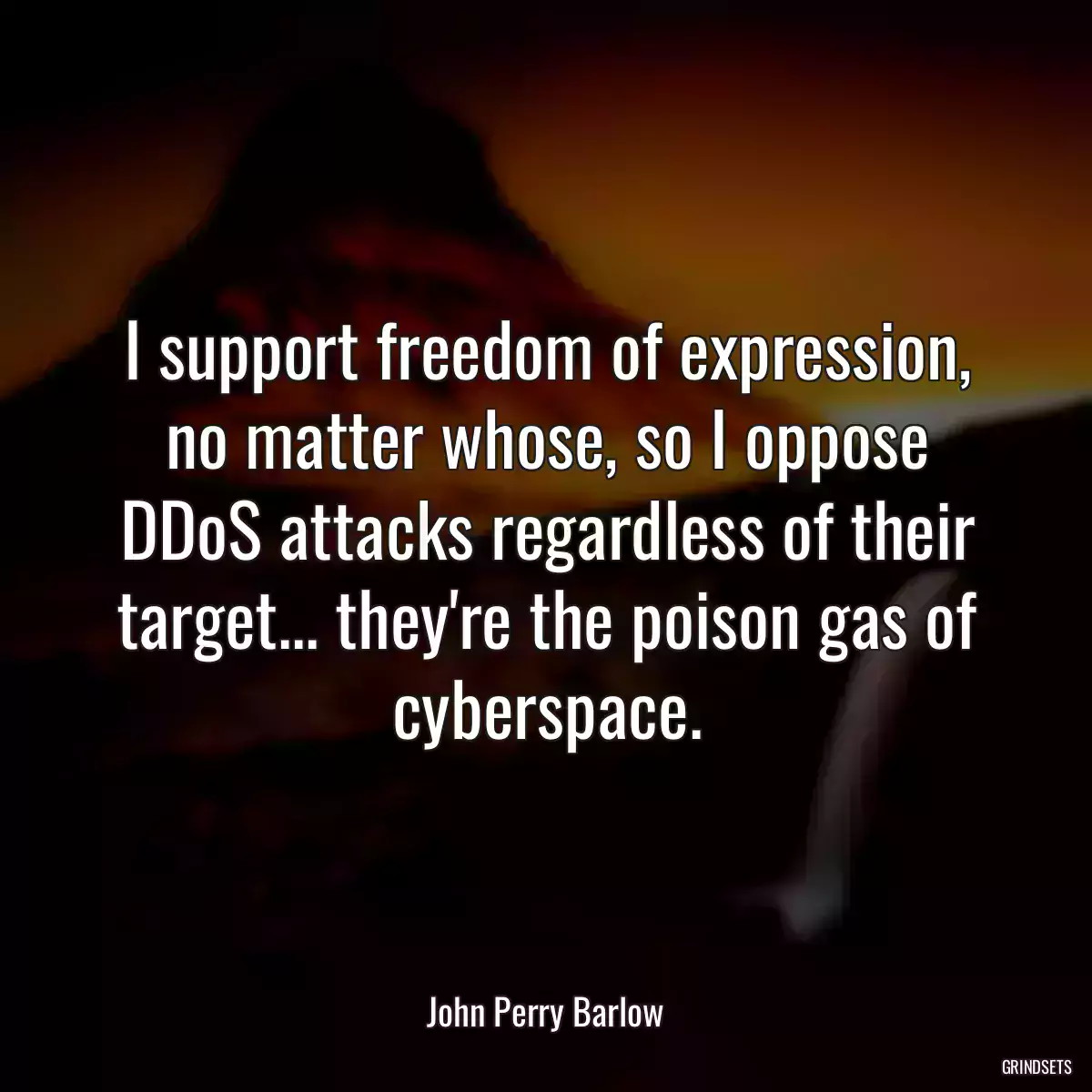 I support freedom of expression, no matter whose, so I oppose DDoS attacks regardless of their target... they\'re the poison gas of cyberspace.