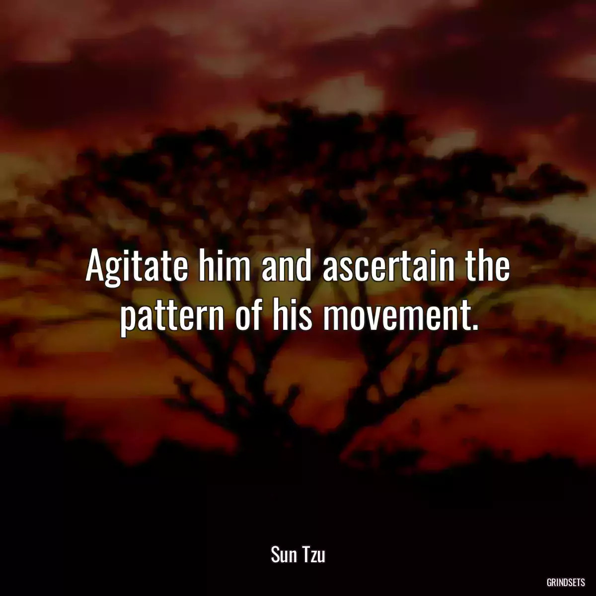 Agitate him and ascertain the pattern of his movement.