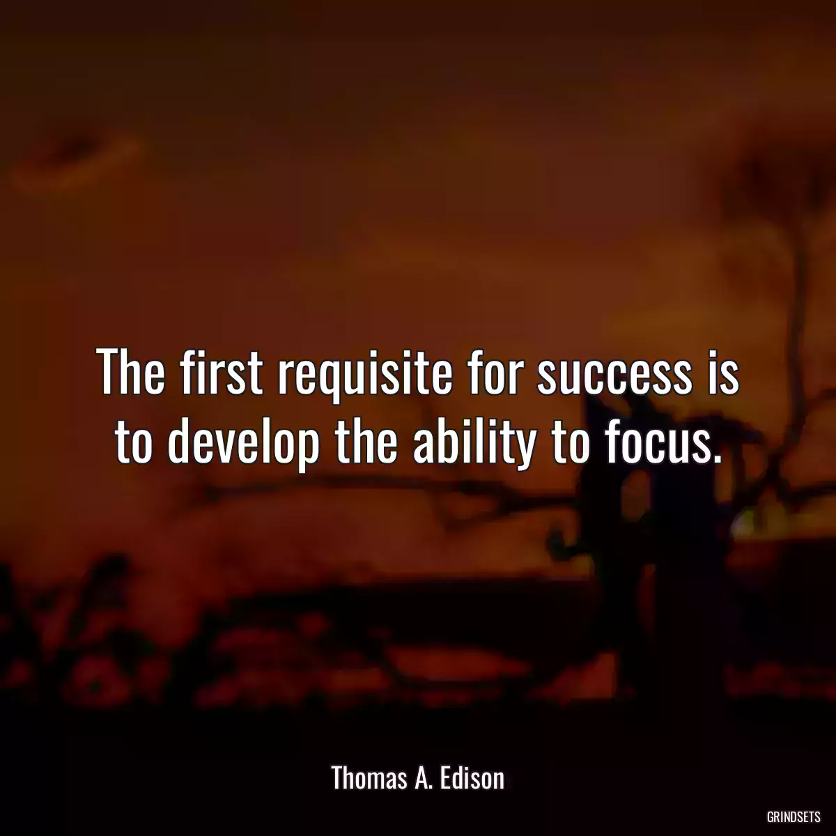 The first requisite for success is to develop the ability to focus.