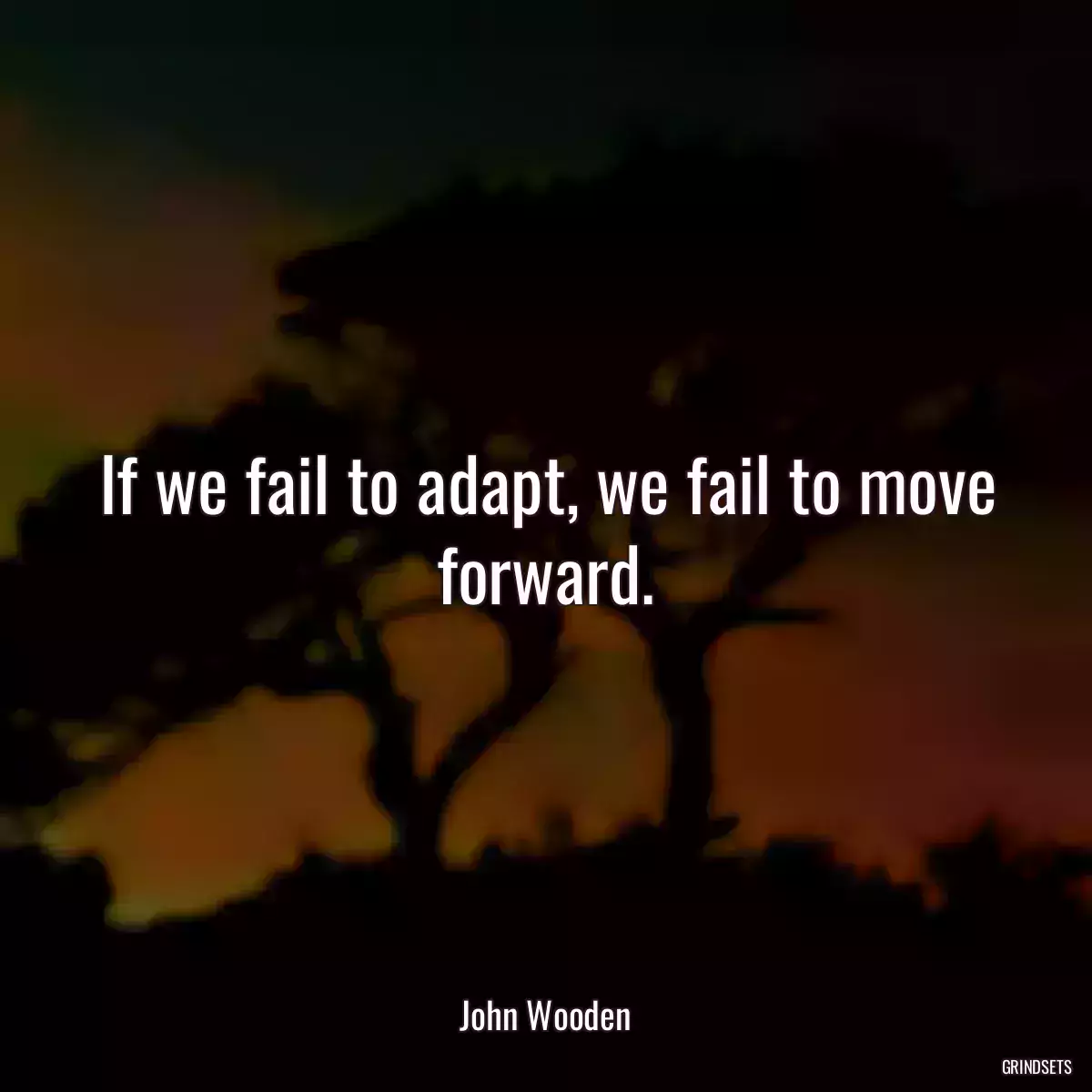 If we fail to adapt, we fail to move forward.