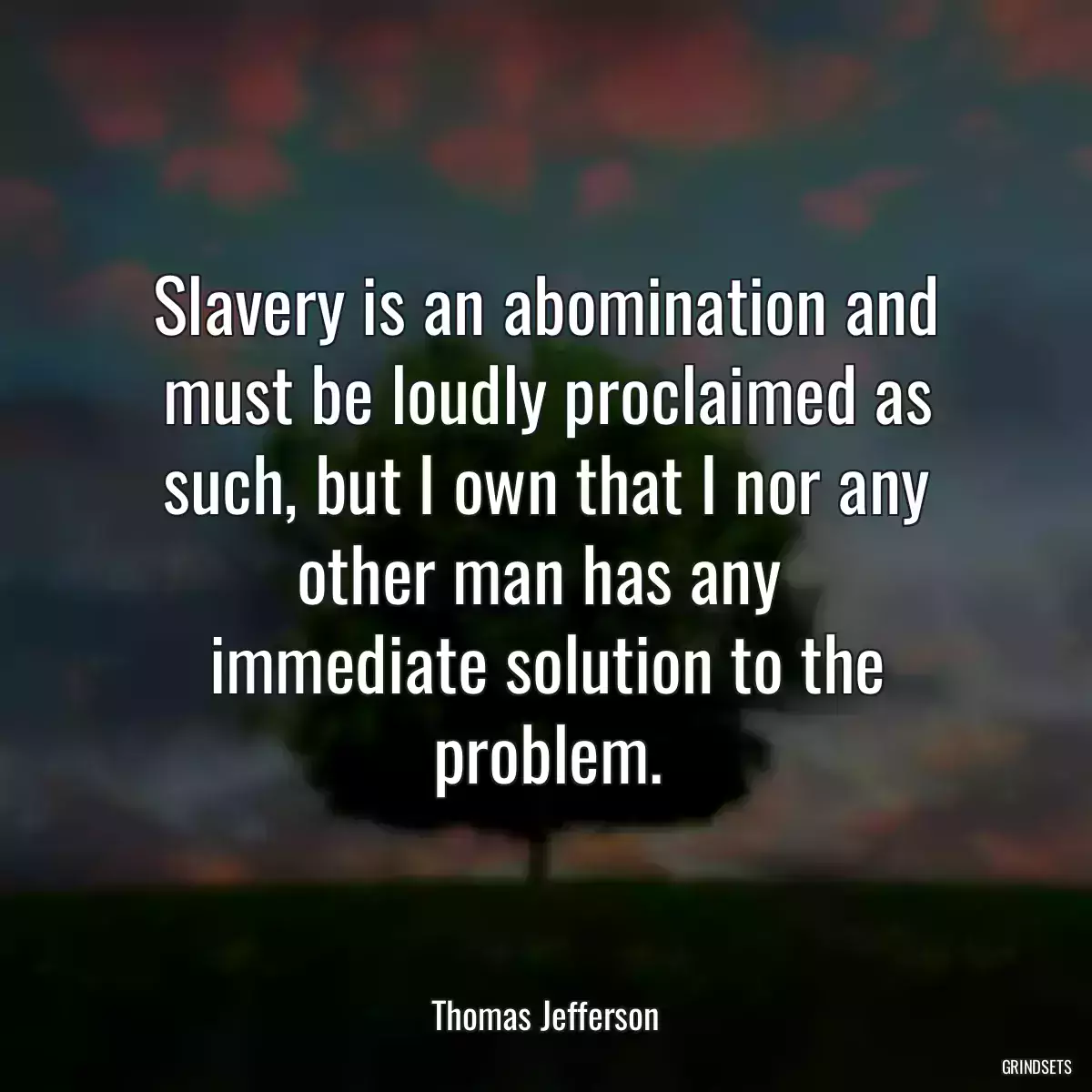 Slavery is an abomination and must be loudly proclaimed as such, but I own that I nor any other man has any 
immediate solution to the problem.