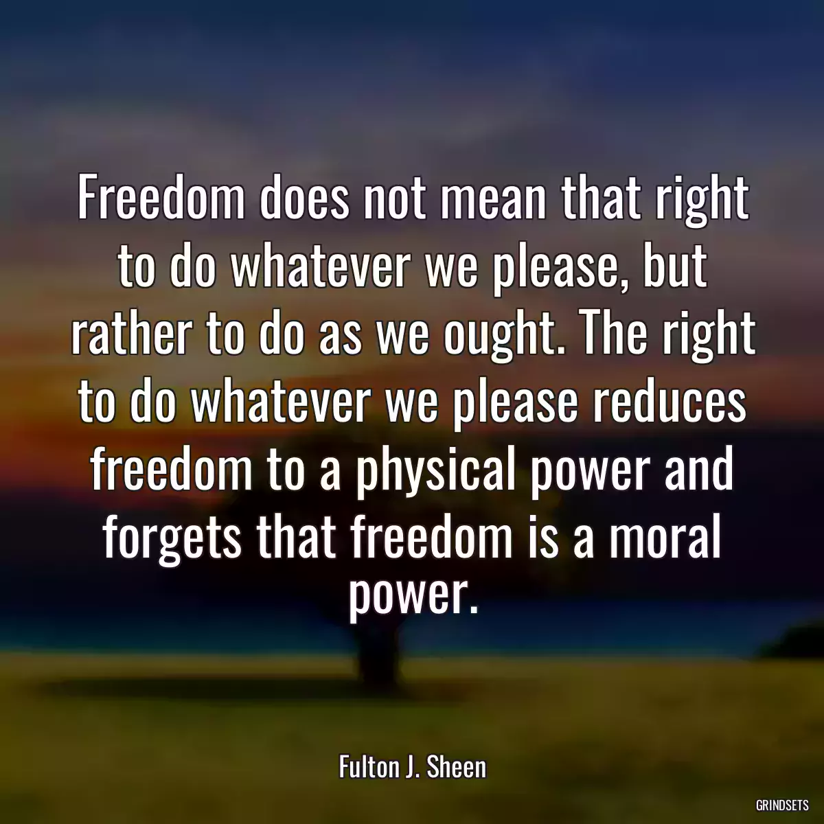 Freedom does not mean that right to do whatever we please, but rather to do as we ought. The right to do whatever we please reduces freedom to a physical power and forgets that freedom is a moral power.