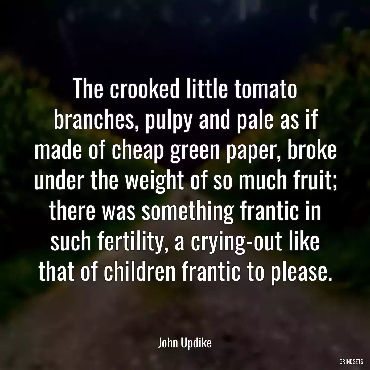 The crooked little tomato branches, pulpy and pale as if made of cheap green paper, broke under the weight of so much fruit; there was something frantic in such fertility, a crying-out like that of children frantic to please.