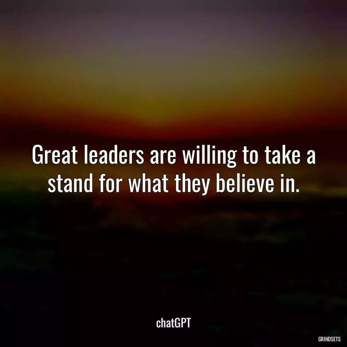 Great leaders are willing to take a stand for what they believe in.