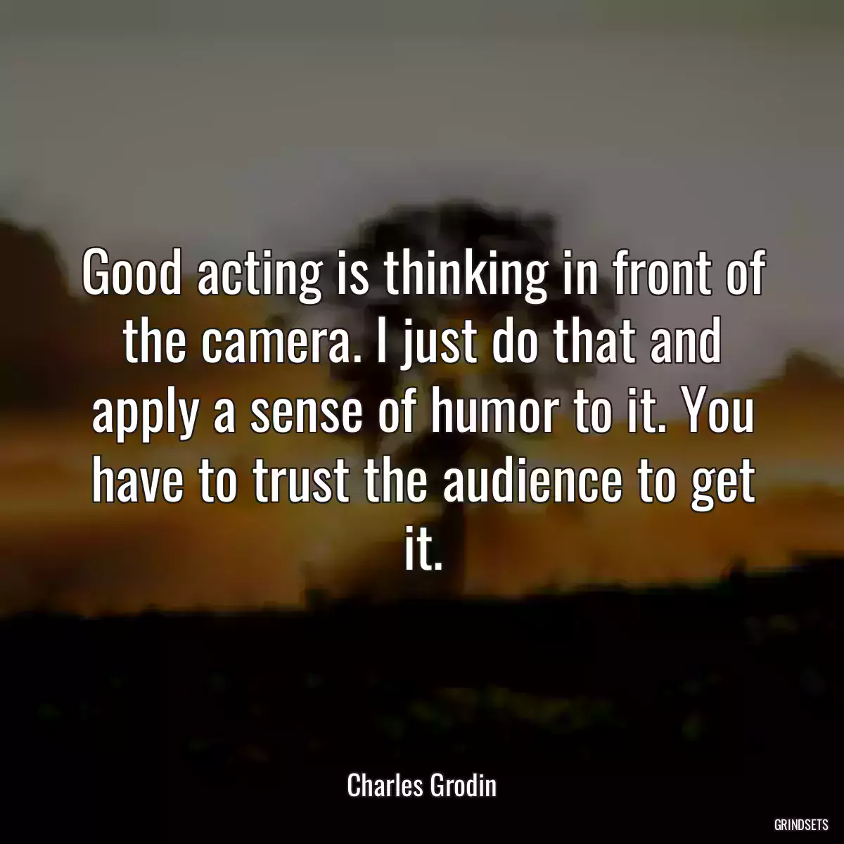 Good acting is thinking in front of the camera. I just do that and apply a sense of humor to it. You have to trust the audience to get it.