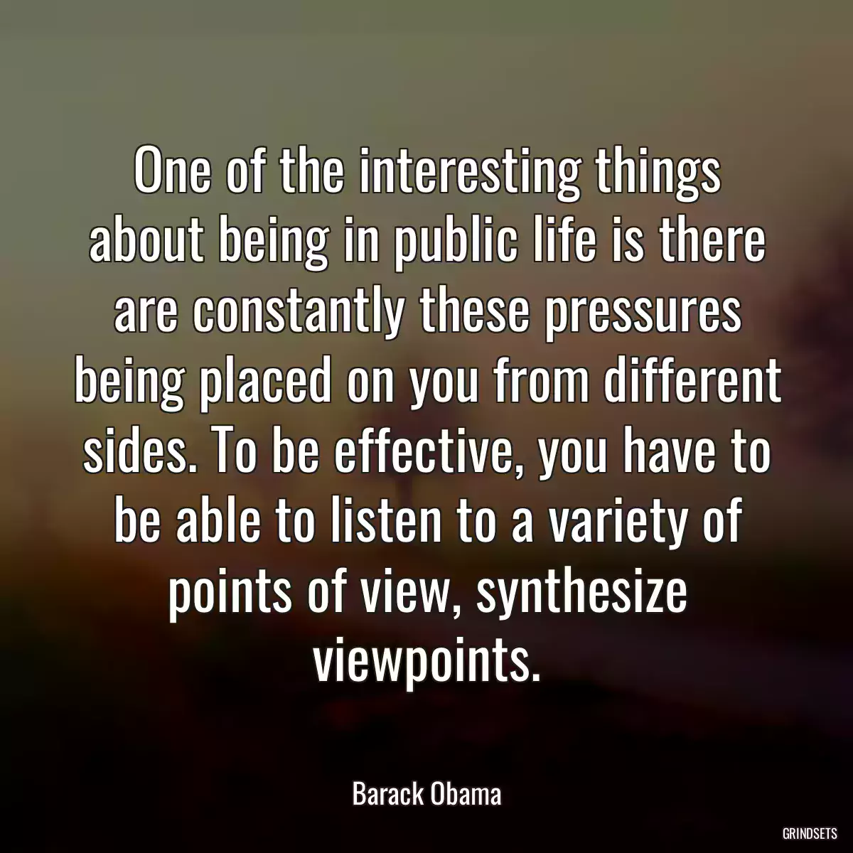 One of the interesting things about being in public life is there are constantly these pressures being placed on you from different sides. To be effective, you have to be able to listen to a variety of points of view, synthesize viewpoints.