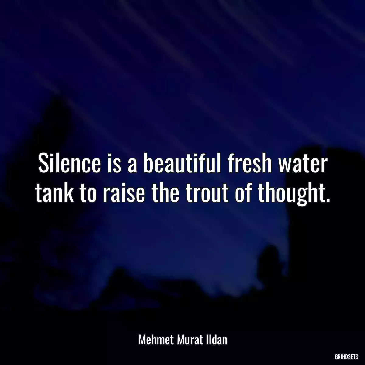 Silence is a beautiful fresh water tank to raise the trout of thought.