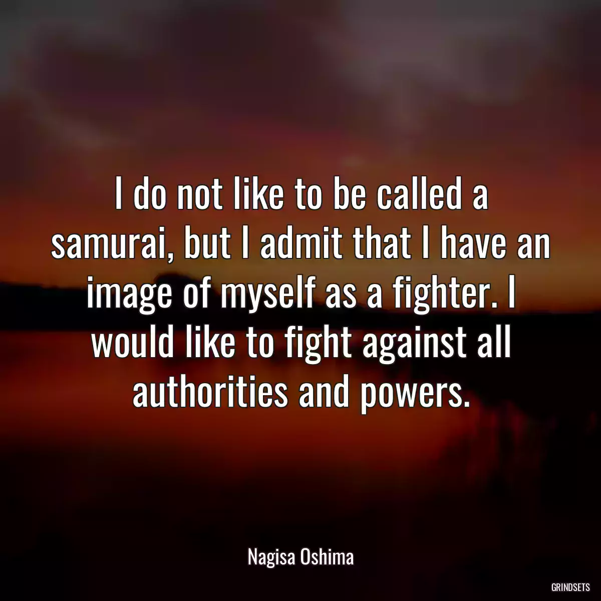 I do not like to be called a samurai, but I admit that I have an image of myself as a fighter. I would like to fight against all authorities and powers.