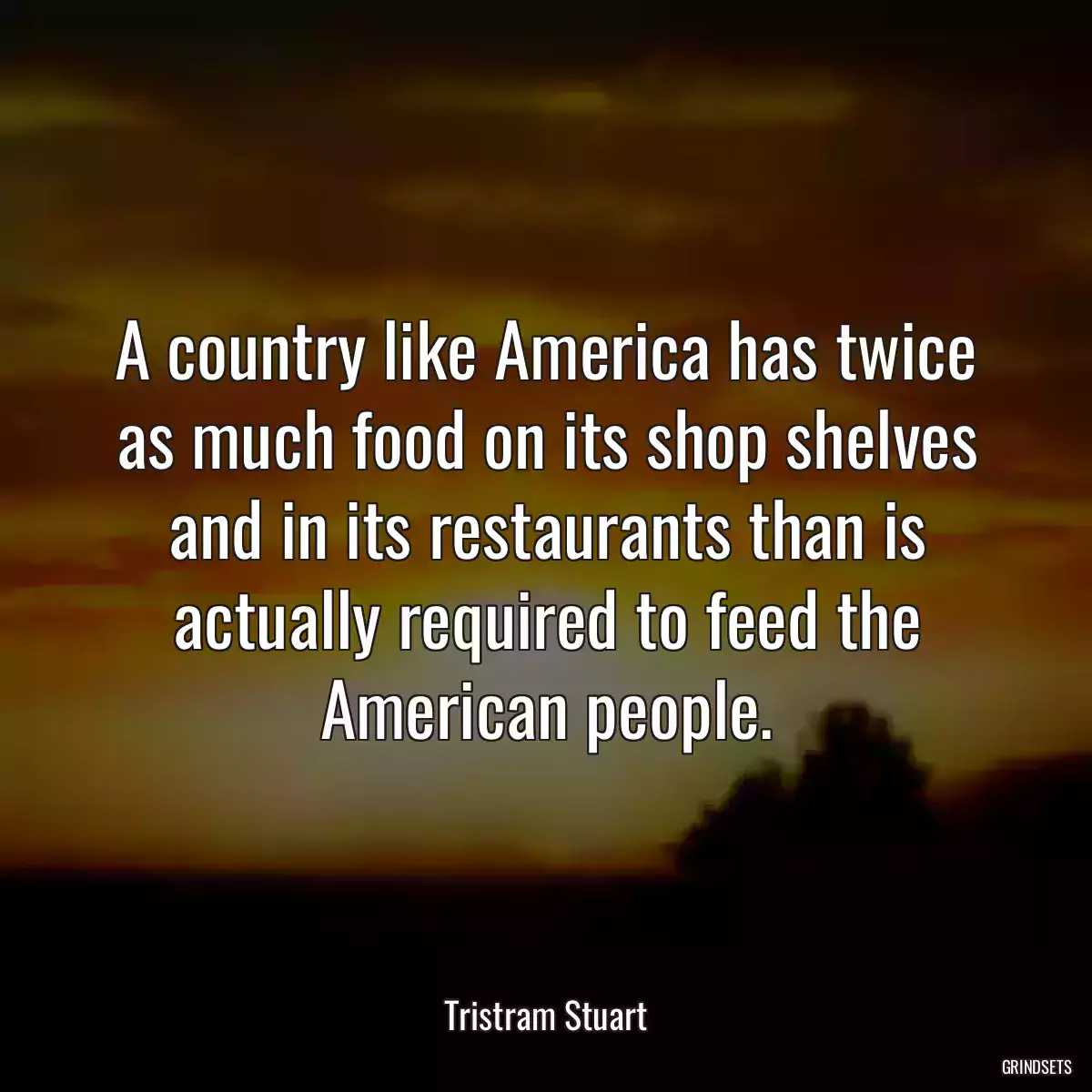 A country like America has twice as much food on its shop shelves and in its restaurants than is actually required to feed the American people.