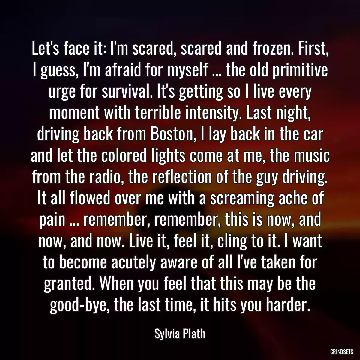 Let\'s face it: I\'m scared, scared and frozen. First, I guess, I\'m afraid for myself ... the old primitive urge for survival. It\'s getting so I live every moment with terrible intensity. Last night, driving back from Boston, I lay back in the car and let the colored lights come at me, the music from the radio, the reflection of the guy driving. It all flowed over me with a screaming ache of pain ... remember, remember, this is now, and now, and now. Live it, feel it, cling to it. I want to become acutely aware of all I\'ve taken for granted. When you feel that this may be the good-bye, the last time, it hits you harder.