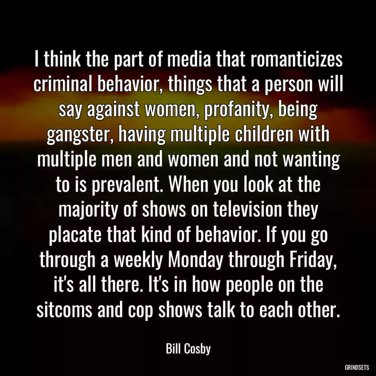 I think the part of media that romanticizes criminal behavior, things that a person will say against women, profanity, being gangster, having multiple children with multiple men and women and not wanting to is prevalent. When you look at the majority of shows on television they placate that kind of behavior. If you go through a weekly Monday through Friday, it\'s all there. It\'s in how people on the sitcoms and cop shows talk to each other.