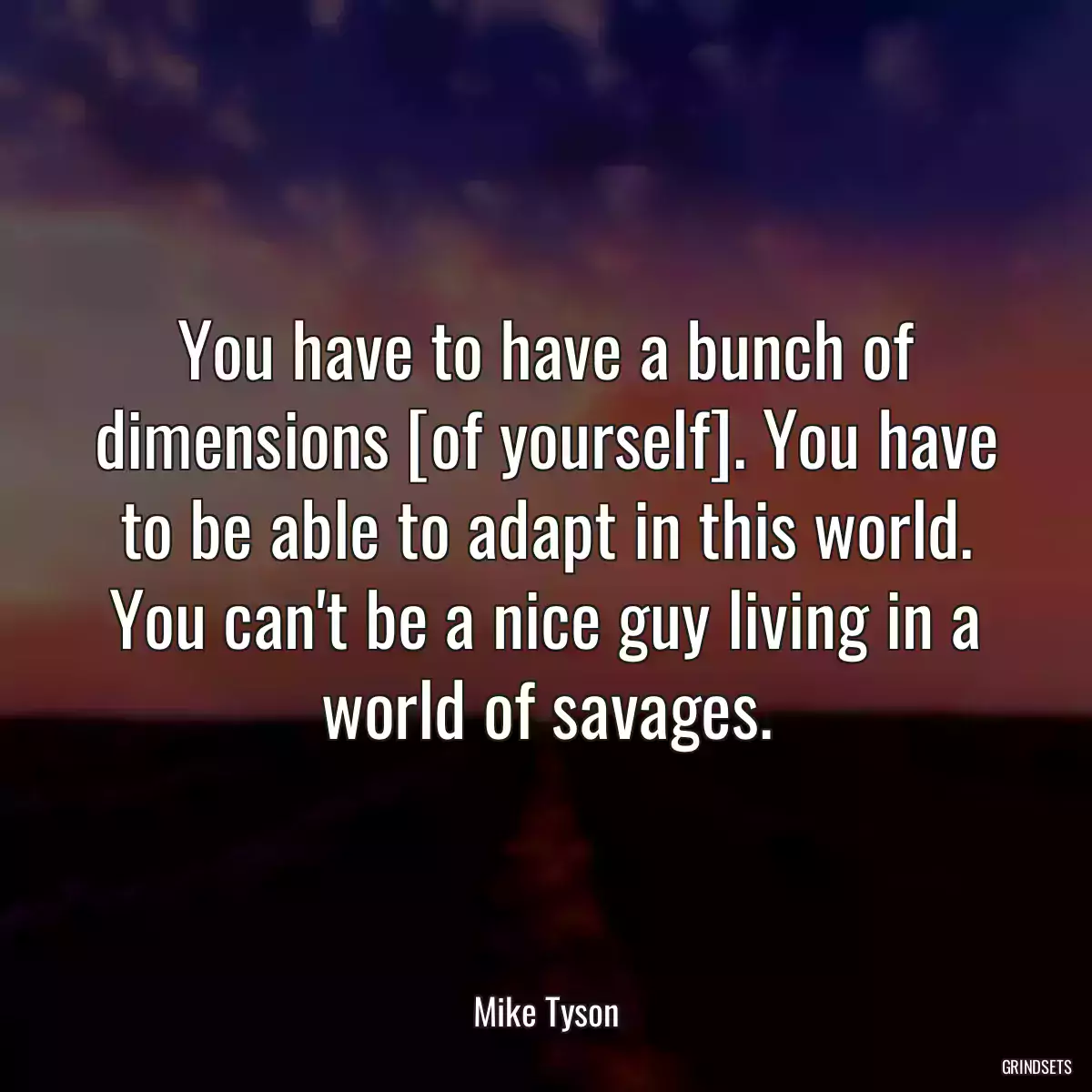 You have to have a bunch of dimensions [of yourself]. You have to be able to adapt in this world. You can\'t be a nice guy living in a world of savages.