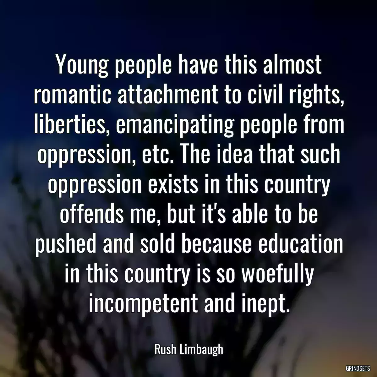 Young people have this almost romantic attachment to civil rights, liberties, emancipating people from oppression, etc. The idea that such oppression exists in this country offends me, but it\'s able to be pushed and sold because education in this country is so woefully incompetent and inept.