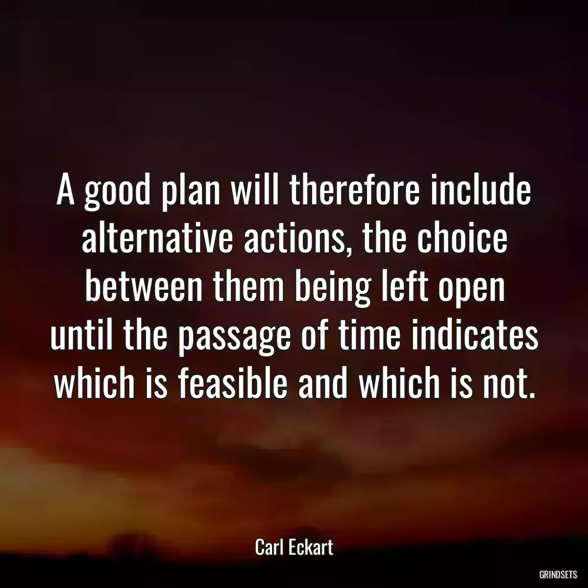 A good plan will therefore include alternative actions, the choice between them being left open until the passage of time indicates which is feasible and which is not.