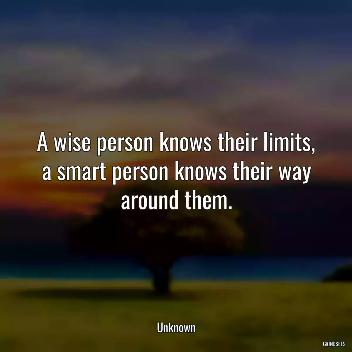 A wise person knows their limits, a smart person knows their way around them.