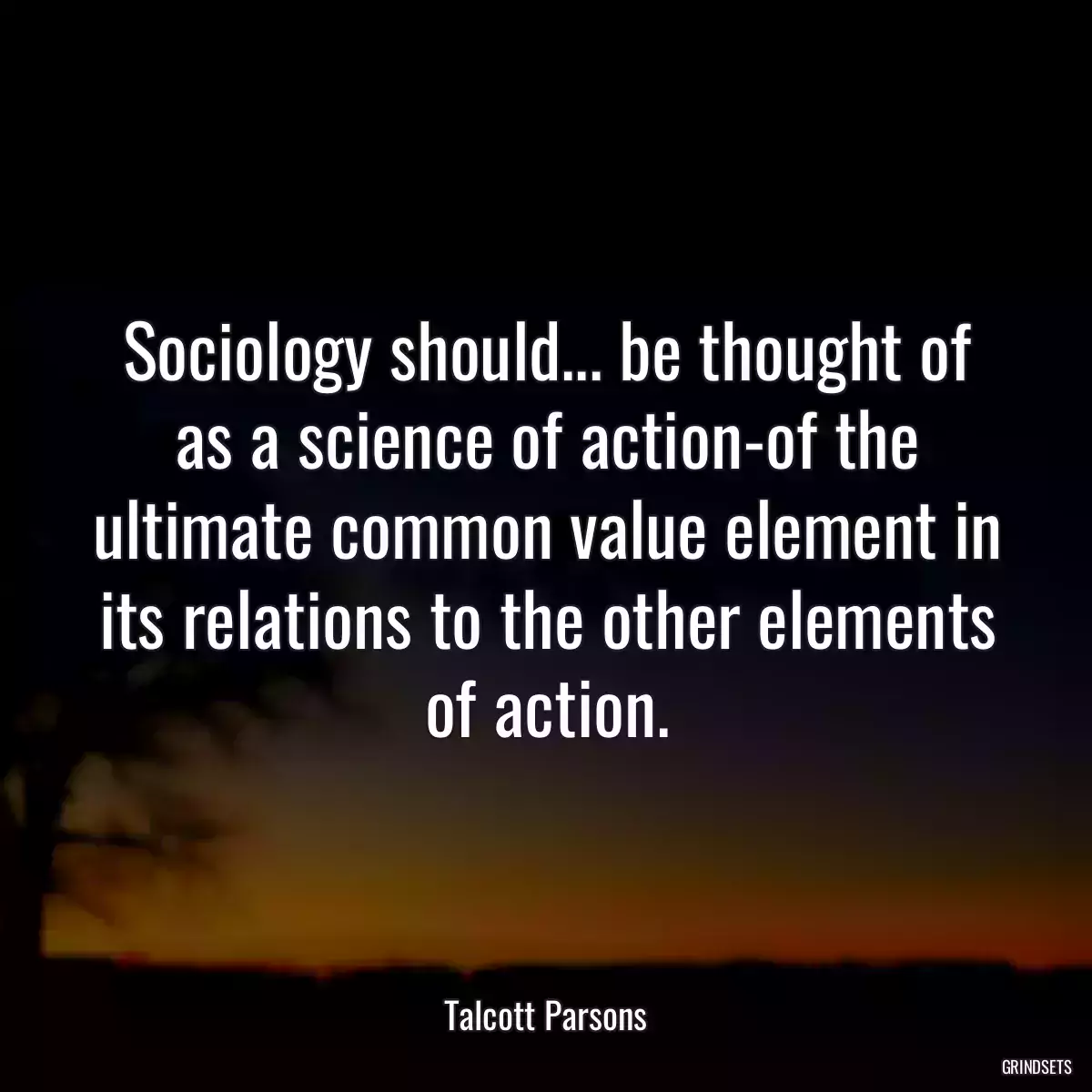 Sociology should... be thought of as a science of action-of the ultimate common value element in its relations to the other elements of action.