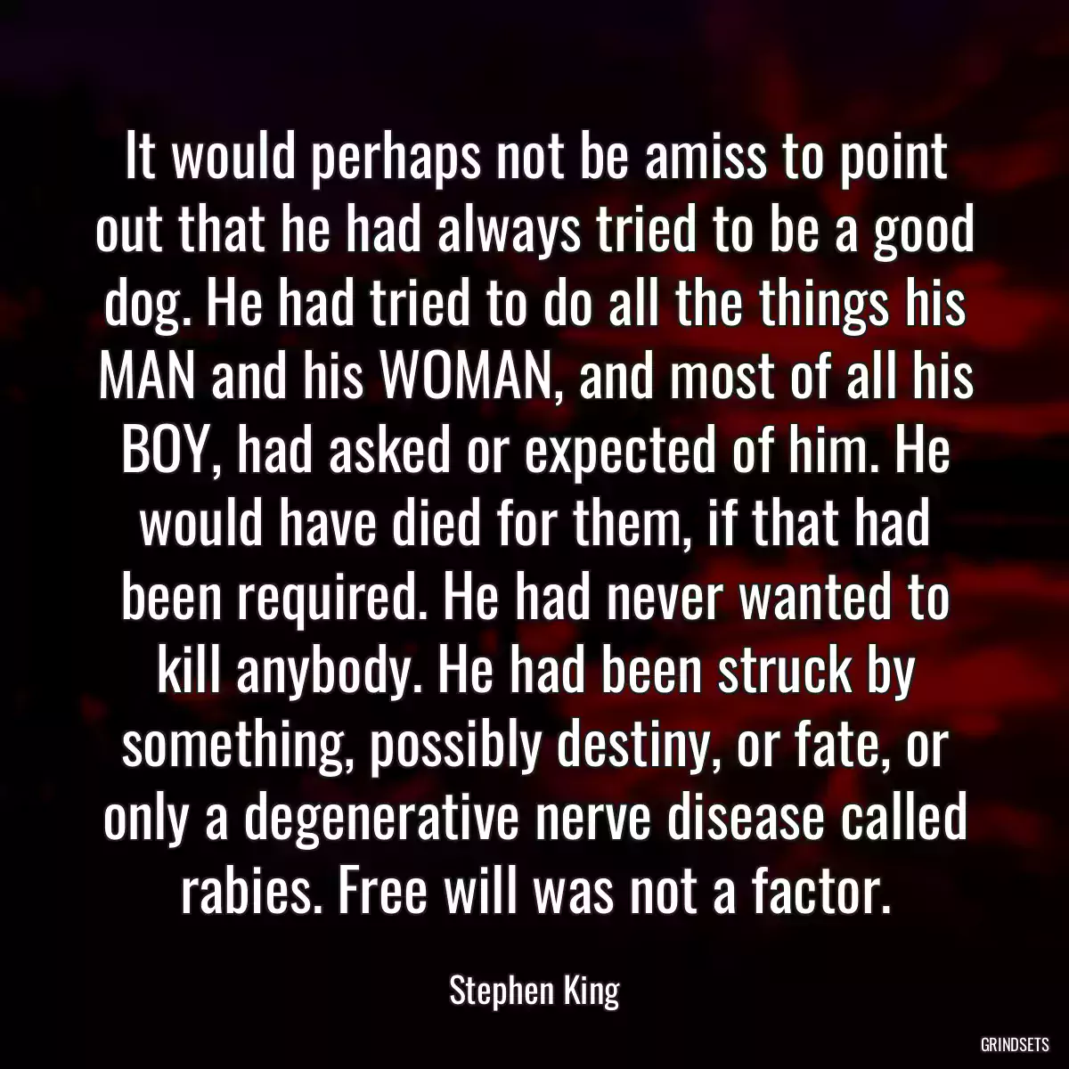 It would perhaps not be amiss to point out that he had always tried to be a good dog. He had tried to do all the things his MAN and his WOMAN, and most of all his BOY, had asked or expected of him. He would have died for them, if that had been required. He had never wanted to kill anybody. He had been struck by something, possibly destiny, or fate, or only a degenerative nerve disease called rabies. Free will was not a factor.