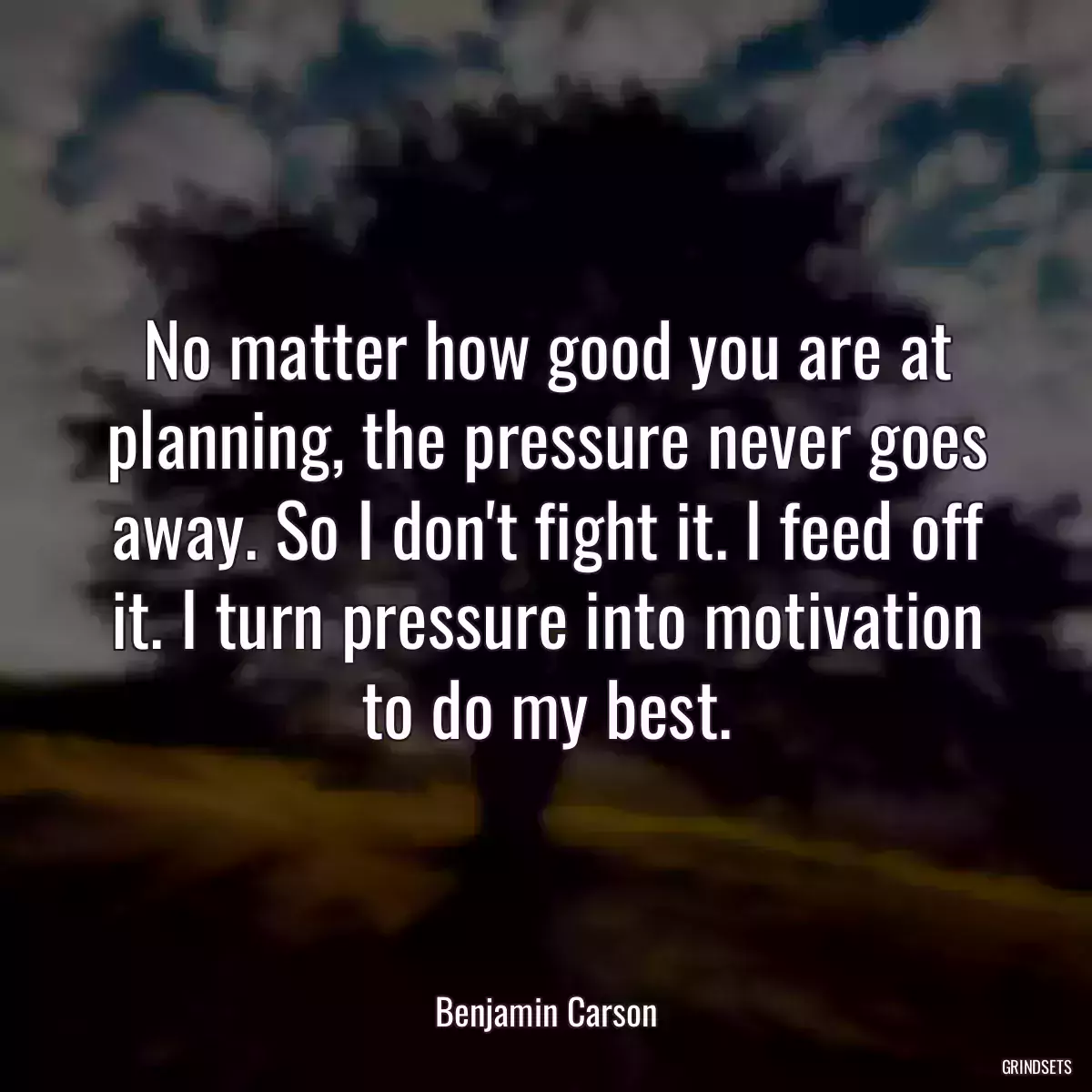 No matter how good you are at planning, the pressure never goes away. So I don\'t fight it. I feed off it. I turn pressure into motivation to do my best.