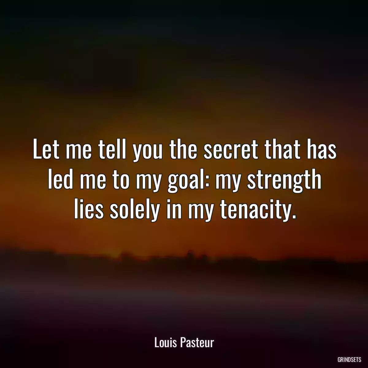 Let me tell you the secret that has led me to my goal: my strength lies solely in my tenacity.