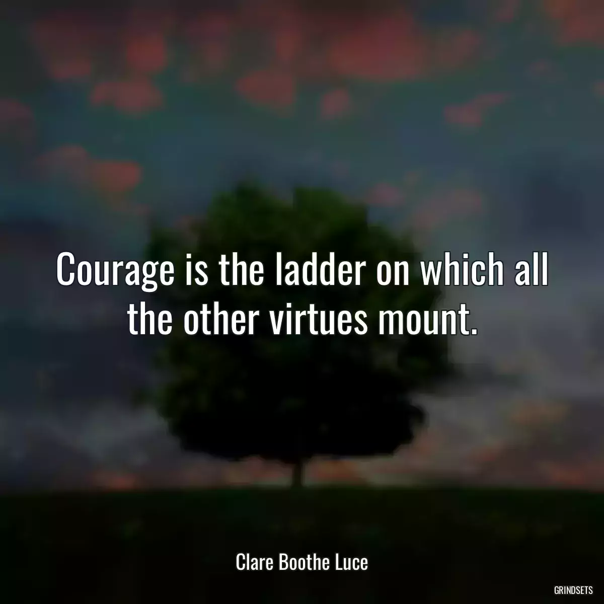 Courage is the ladder on which all the other virtues mount.