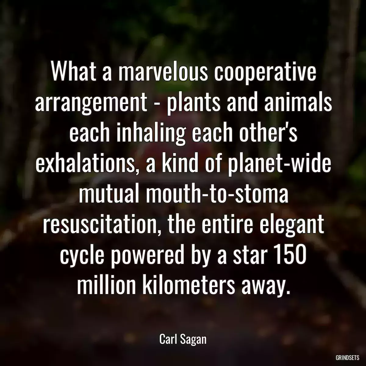 What a marvelous cooperative arrangement - plants and animals each inhaling each other\'s exhalations, a kind of planet-wide mutual mouth-to-stoma resuscitation, the entire elegant cycle powered by a star 150 million kilometers away.