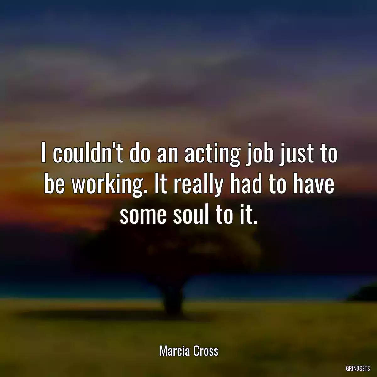 I couldn\'t do an acting job just to be working. It really had to have some soul to it.