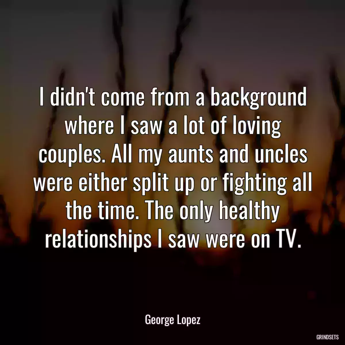 I didn\'t come from a background where I saw a lot of loving couples. All my aunts and uncles were either split up or fighting all the time. The only healthy relationships I saw were on TV.