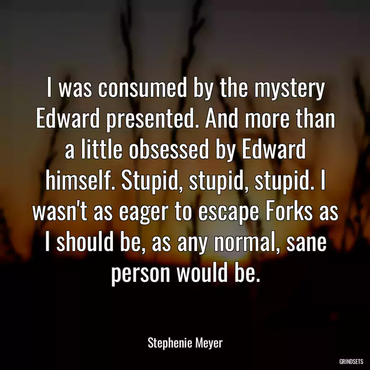 I was consumed by the mystery Edward presented. And more than a little obsessed by Edward himself. Stupid, stupid, stupid. I wasn\'t as eager to escape Forks as I should be, as any normal, sane person would be.