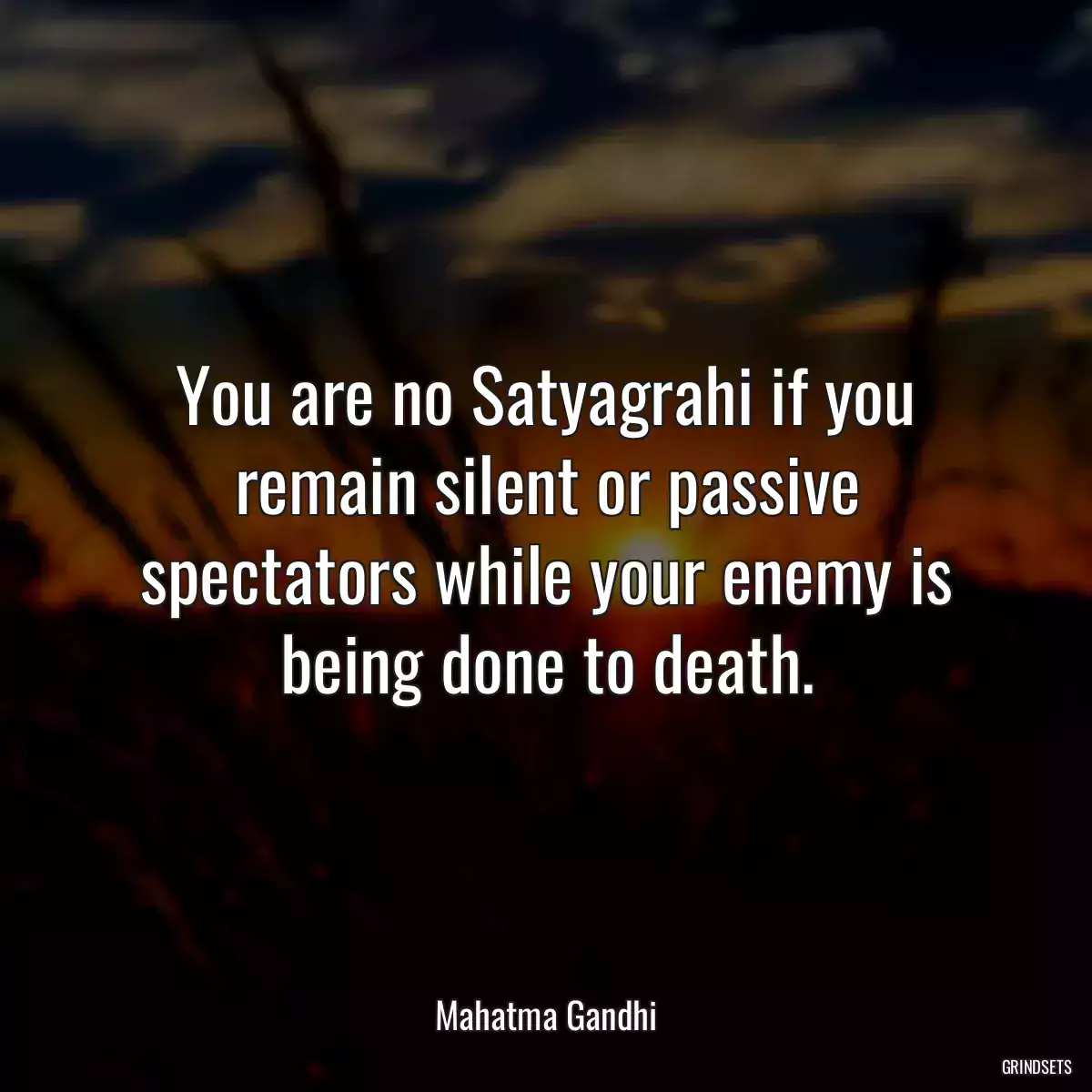 You are no Satyagrahi if you remain silent or passive spectators while your enemy is being done to death.