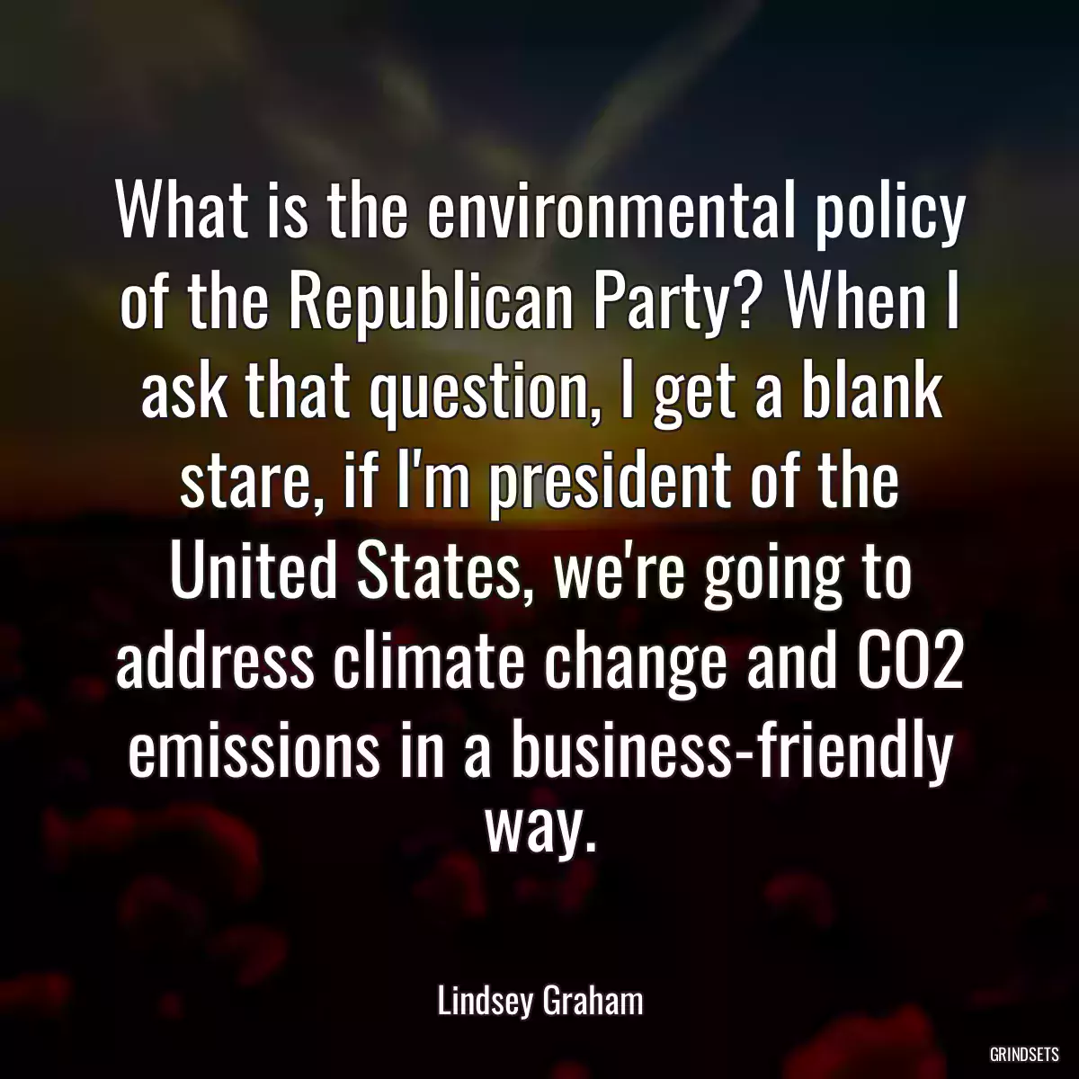 What is the environmental policy of the Republican Party? When I ask that question, I get a blank stare, if I\'m president of the United States, we\'re going to address climate change and CO2 emissions in a business-friendly way.