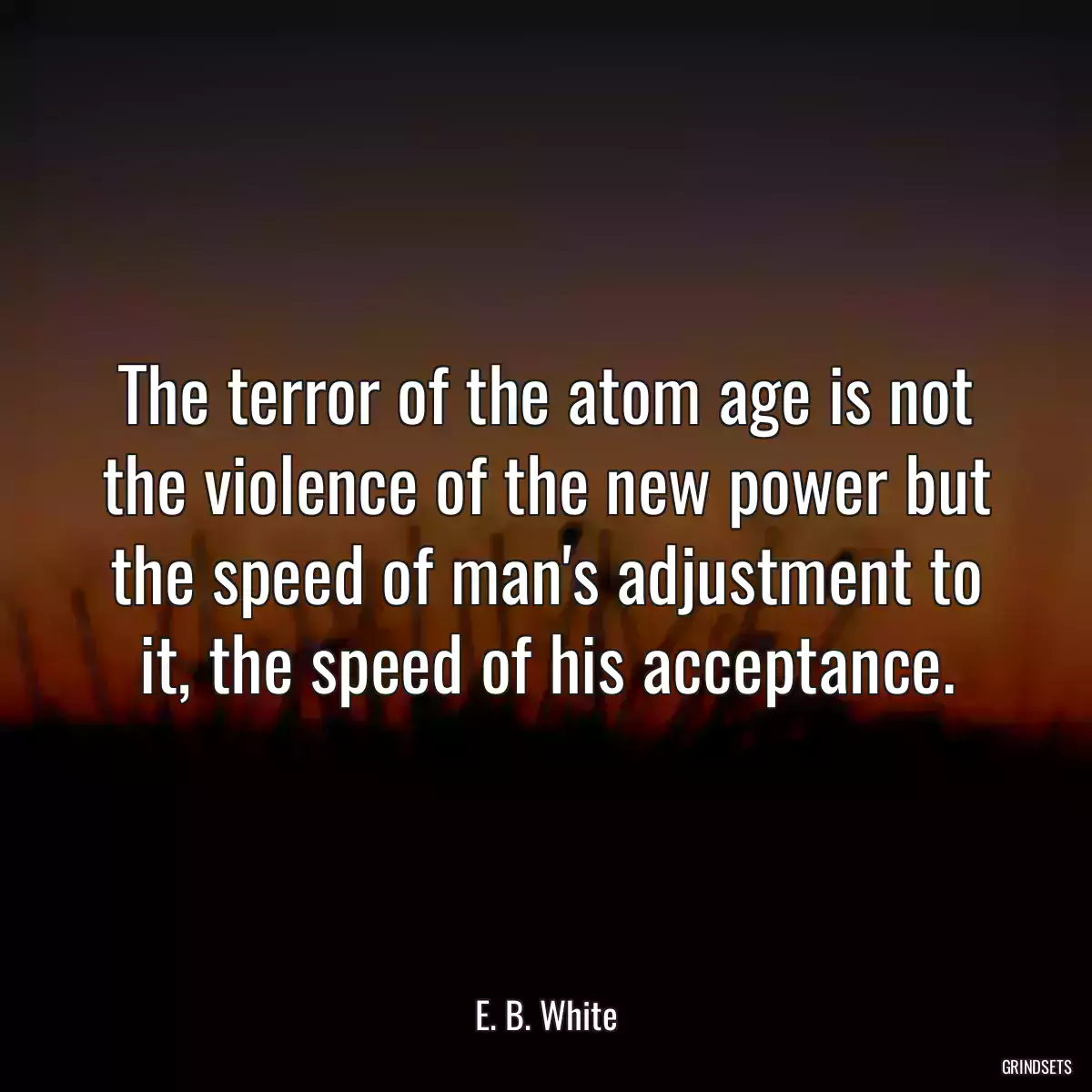 The terror of the atom age is not the violence of the new power but the speed of man\'s adjustment to it, the speed of his acceptance.