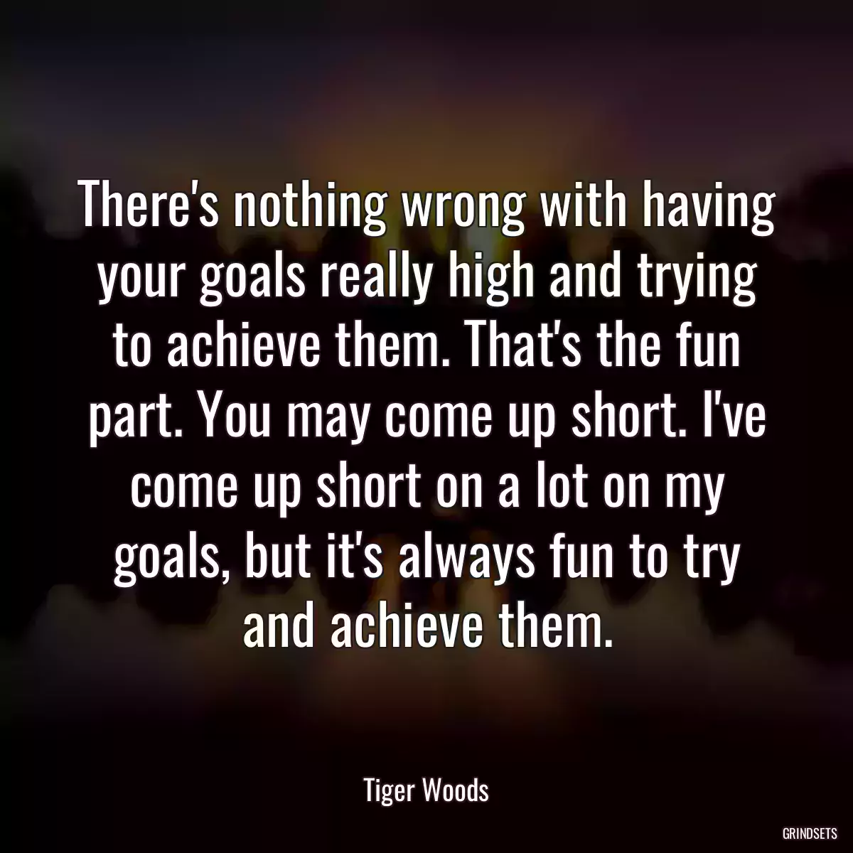 There\'s nothing wrong with having your goals really high and trying to achieve them. That\'s the fun part. You may come up short. I\'ve come up short on a lot on my goals, but it\'s always fun to try and achieve them.