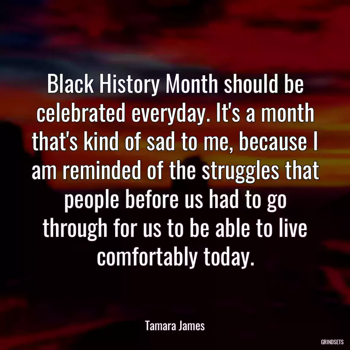 Black History Month should be celebrated everyday. It\'s a month that\'s kind of sad to me, because I am reminded of the struggles that people before us had to go through for us to be able to live comfortably today.