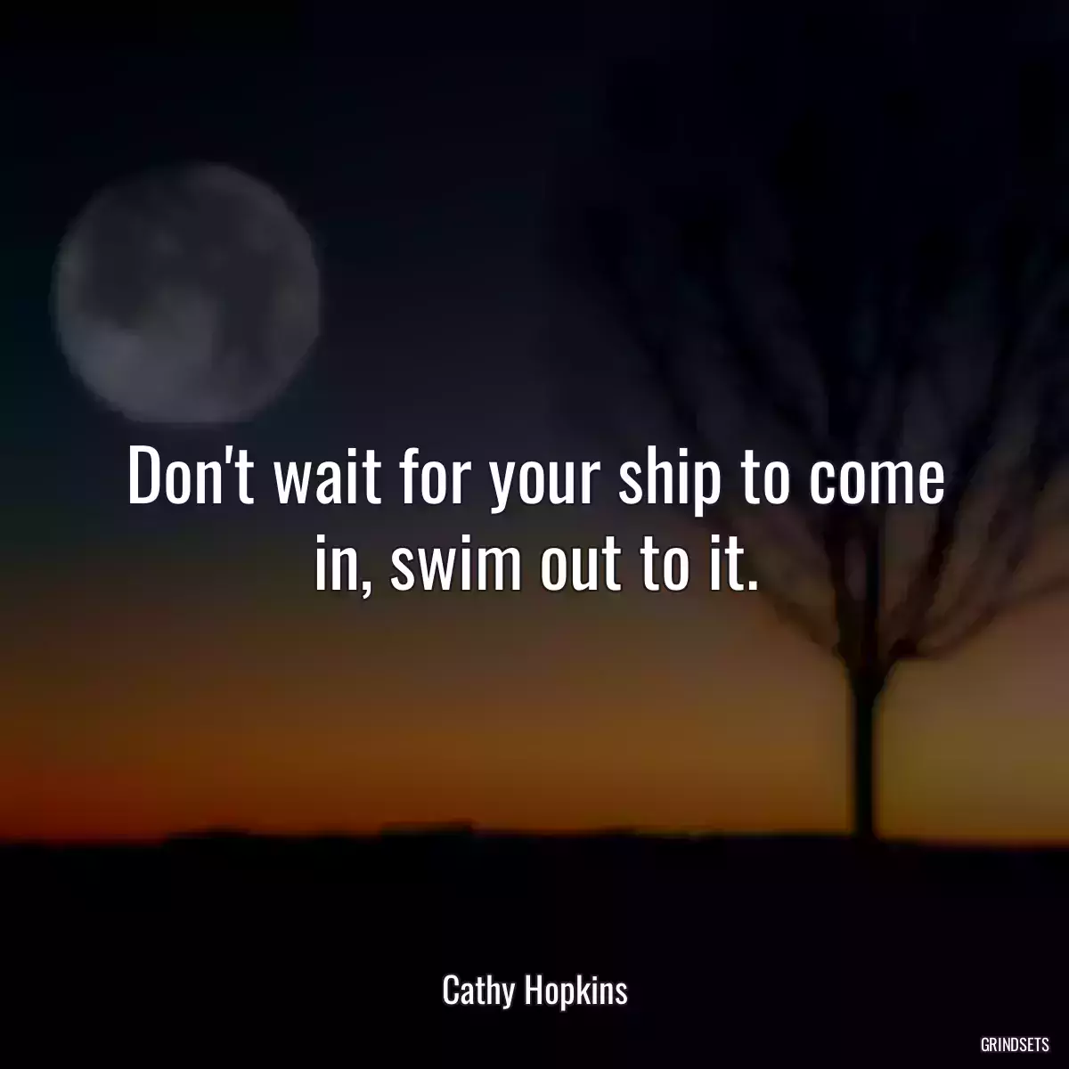 Don\'t wait for your ship to come in, swim out to it.