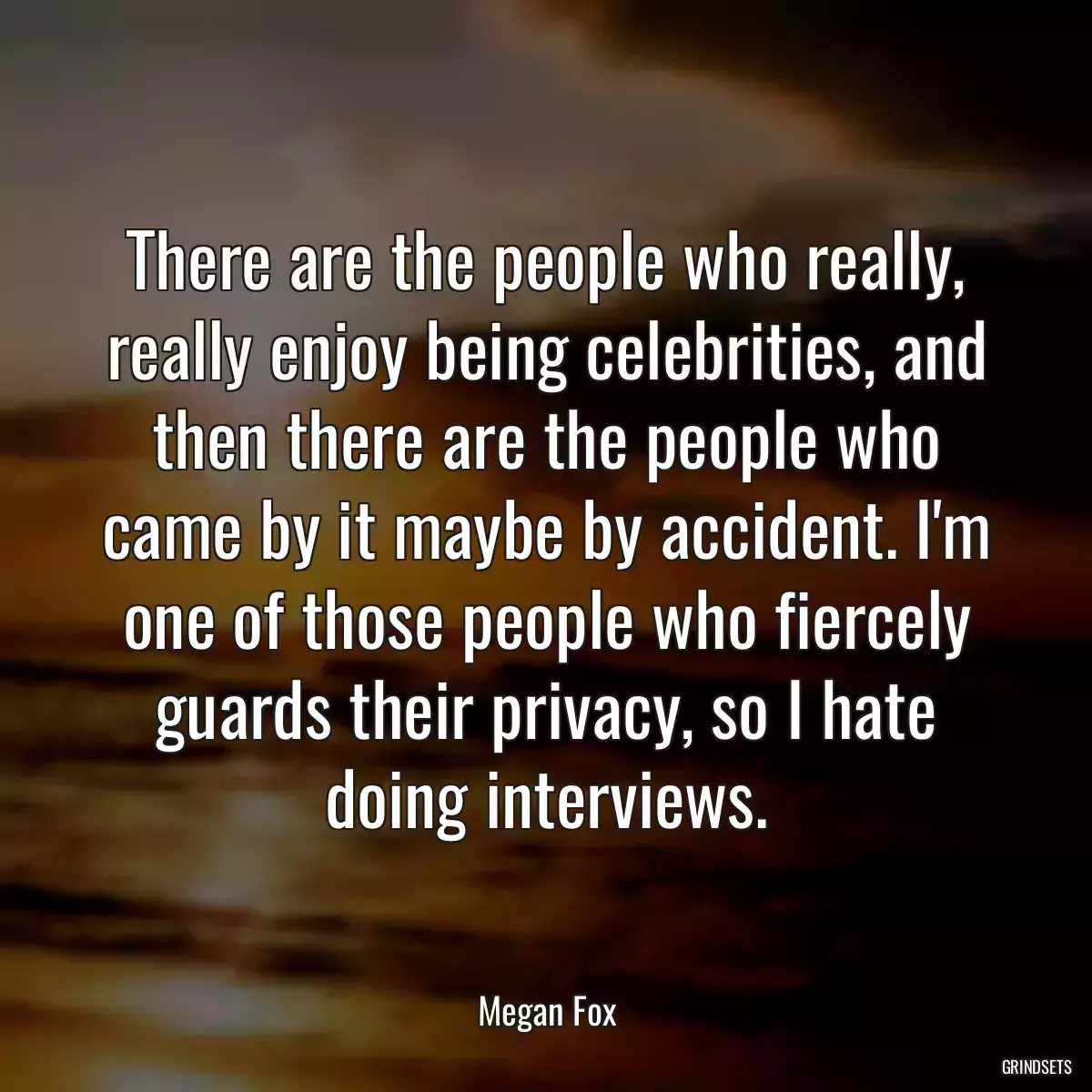 There are the people who really, really enjoy being celebrities, and then there are the people who came by it maybe by accident. I\'m one of those people who fiercely guards their privacy, so I hate doing interviews.