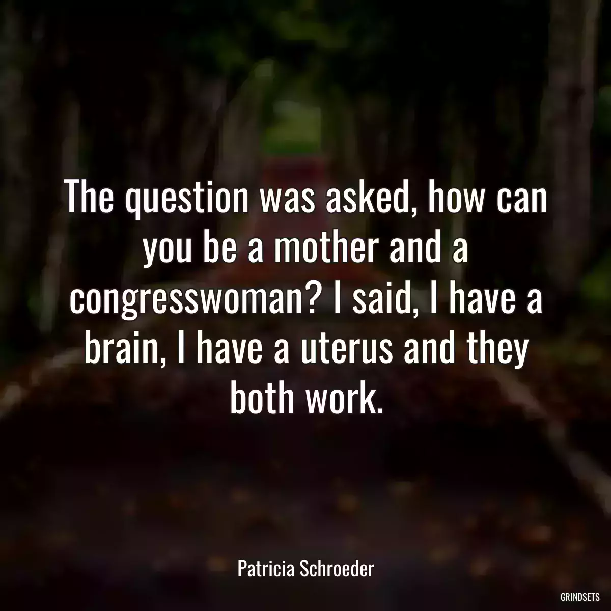 The question was asked, how can you be a mother and a congresswoman? I said, I have a brain, I have a uterus and they both work.