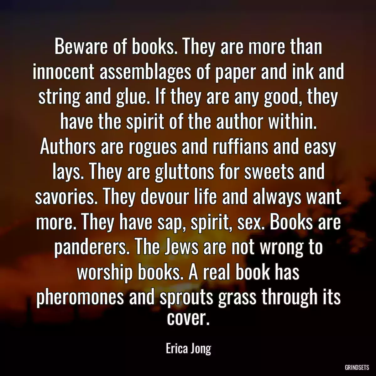 Beware of books. They are more than innocent assemblages of paper and ink and string and glue. If they are any good, they have the spirit of the author within. Authors are rogues and ruffians and easy lays. They are gluttons for sweets and savories. They devour life and always want more. They have sap, spirit, sex. Books are panderers. The Jews are not wrong to worship books. A real book has pheromones and sprouts grass through its cover.