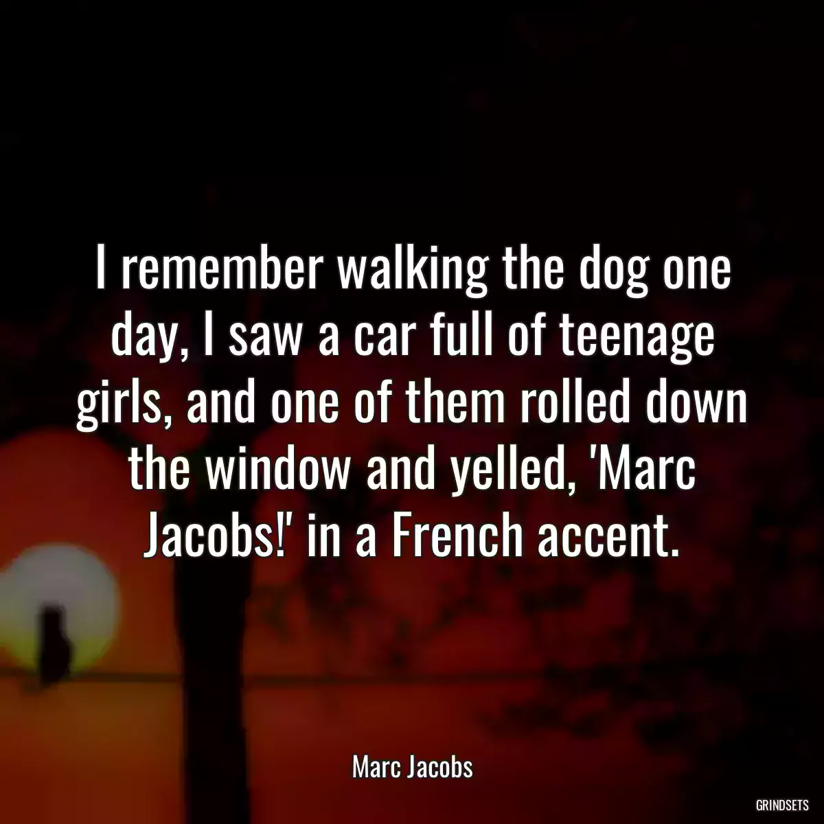 I remember walking the dog one day, I saw a car full of teenage girls, and one of them rolled down the window and yelled, \'Marc Jacobs!\' in a French accent.