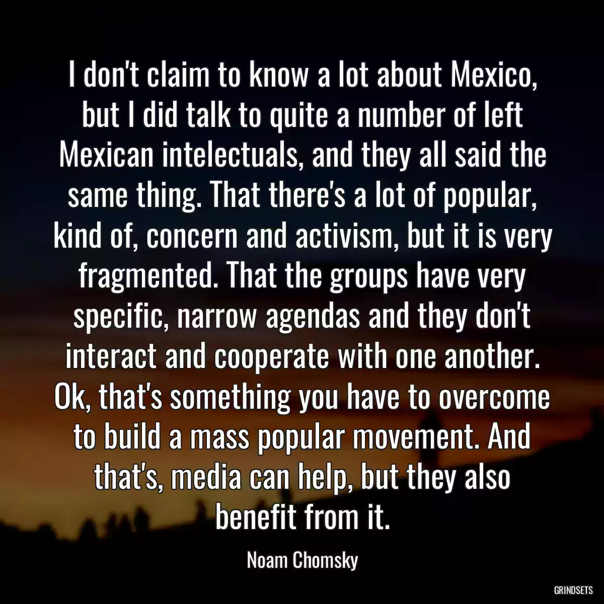 I don\'t claim to know a lot about Mexico, but I did talk to quite a number of left Mexican intelectuals, and they all said the same thing. That there\'s a lot of popular, kind of, concern and activism, but it is very fragmented. That the groups have very specific, narrow agendas and they don\'t interact and cooperate with one another. Ok, that\'s something you have to overcome to build a mass popular movement. And that\'s, media can help, but they also benefit from it.