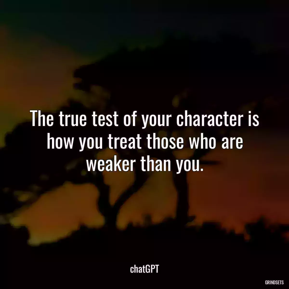 The true test of your character is how you treat those who are weaker than you.
