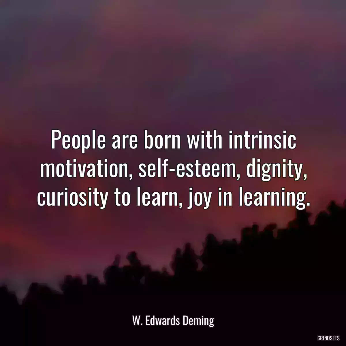 People are born with intrinsic motivation, self-esteem, dignity, curiosity to learn, joy in learning.