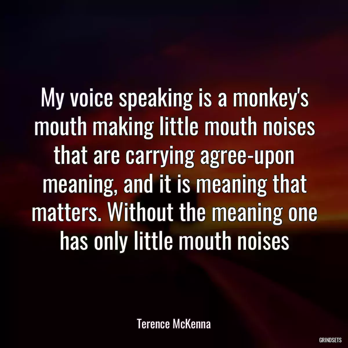 My voice speaking is a monkey\'s mouth making little mouth noises that are carrying agree-upon meaning, and it is meaning that matters. Without the meaning one has only little mouth noises