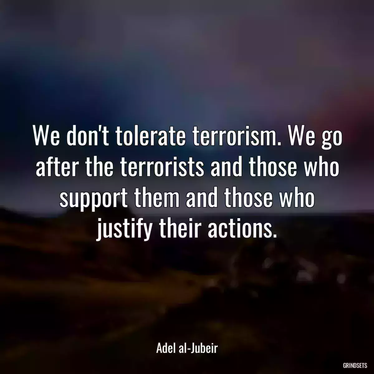 We don\'t tolerate terrorism. We go after the terrorists and those who support them and those who justify their actions.