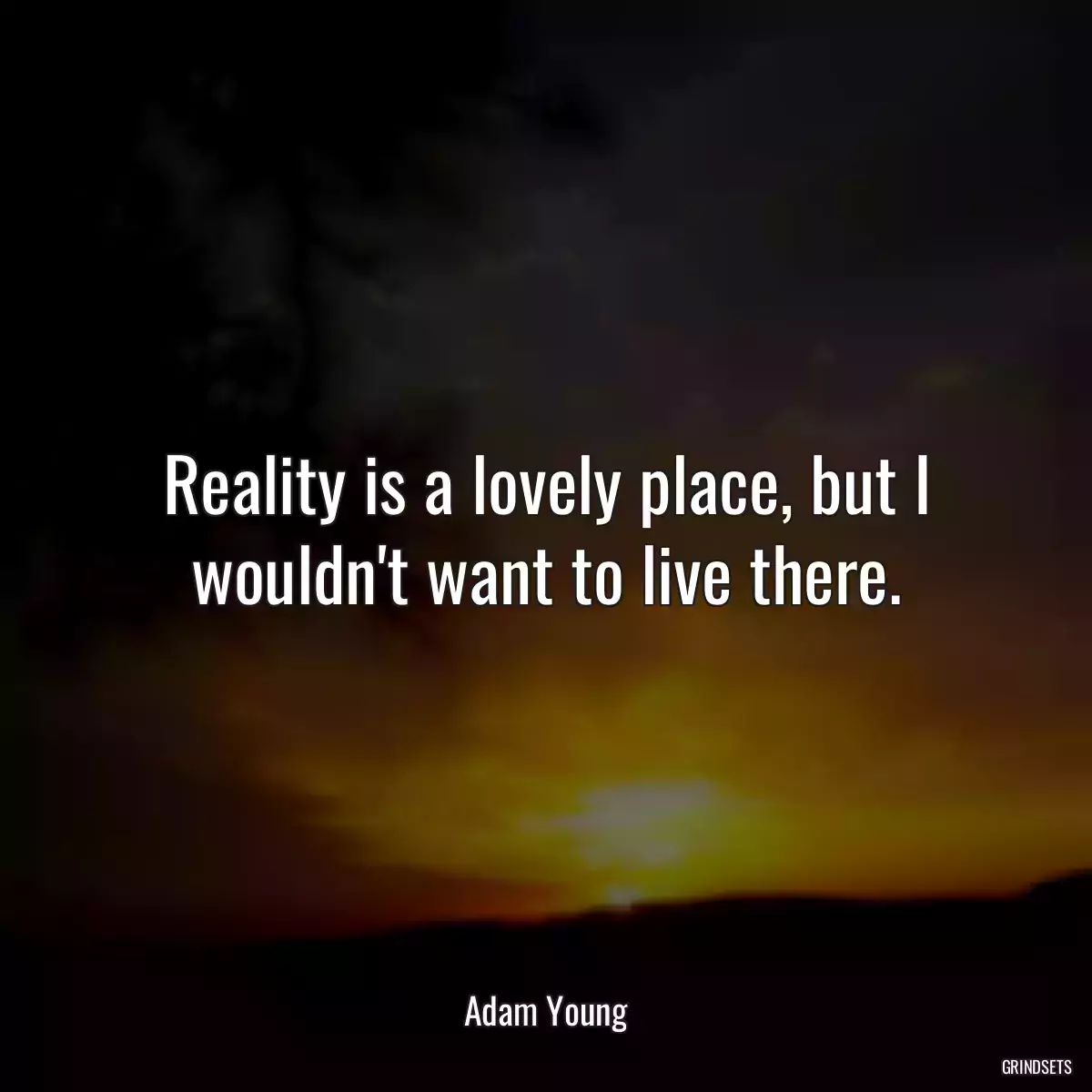 Reality is a lovely place, but I wouldn\'t want to live there.