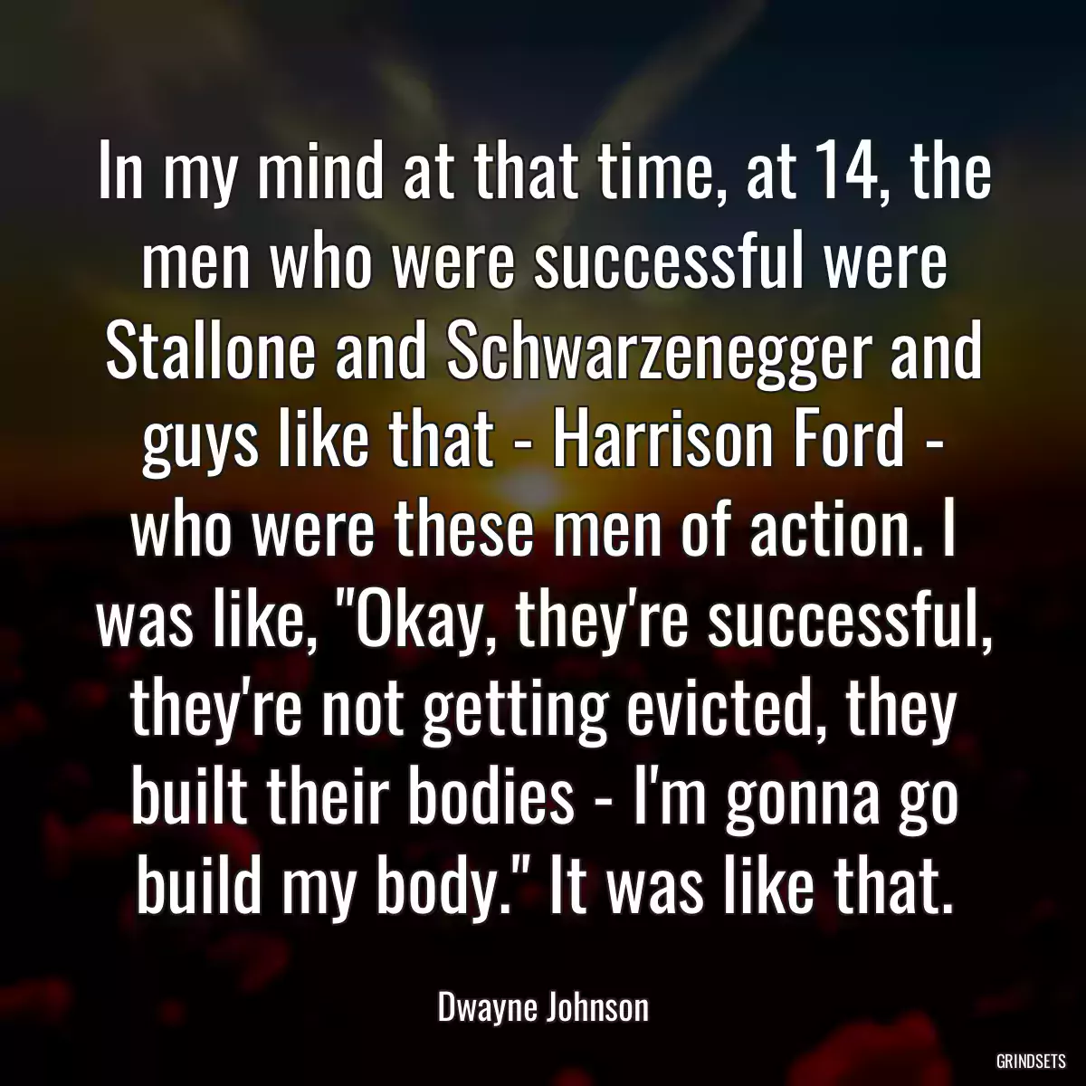 In my mind at that time, at 14, the men who were successful were Stallone and Schwarzenegger and guys like that - Harrison Ford - who were these men of action. I was like, \