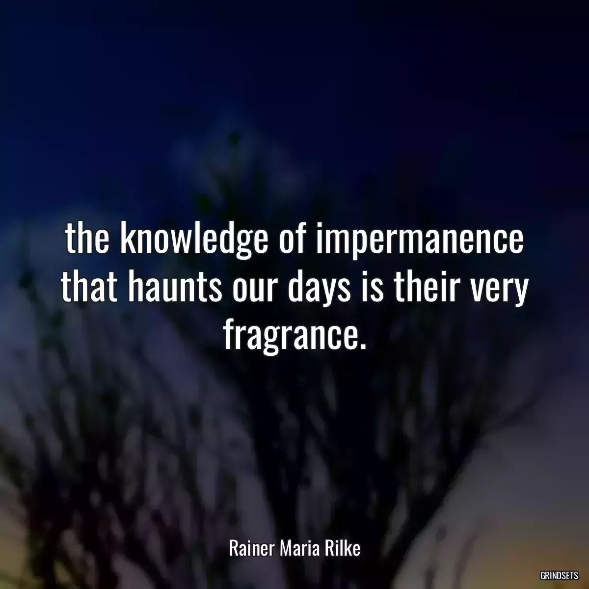 the knowledge of impermanence that haunts our days is their very fragrance.